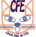 Logo CFE